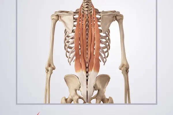Anatomy Pilates Studio - Resim 18