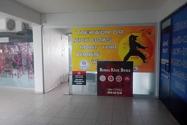 Bursa Kick Boks - Resim 4