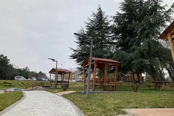 Ondokuz Mayıs Üniversitesi Merkez Kütüphanesi - Resim 10