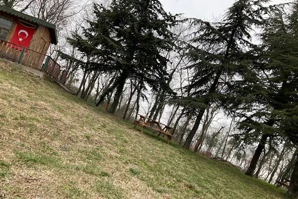 Ondokuz Mayıs Üniversitesi Merkez Kütüphanesi - Resim 17