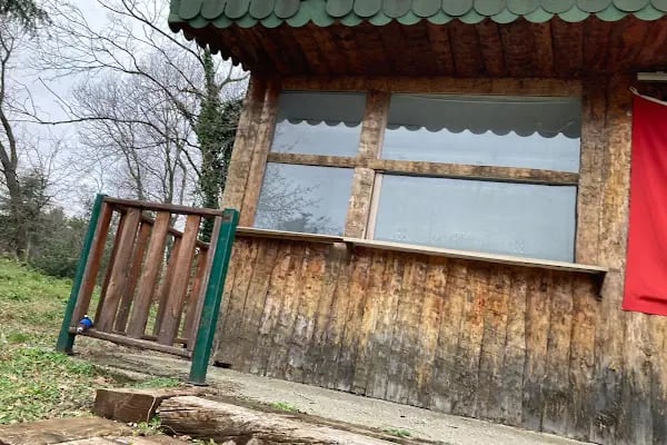 Ondokuz Mayıs Üniversitesi Merkez Kütüphanesi - Resim 20