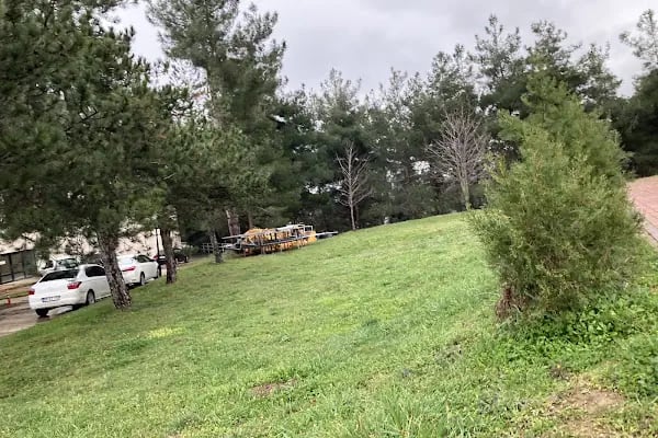 Ondokuz Mayıs Üniversitesi Merkez Kütüphanesi - Resim 8