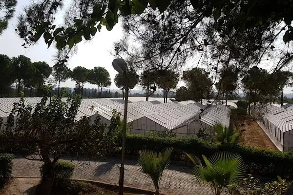 Çukurova Üniversitesi Subtropik Meyveler Araştırma ve Uygulama Merkezi - Resim 3