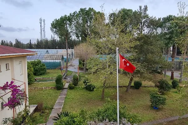 Çukurova Üniversitesi Subtropik Meyveler Araştırma ve Uygulama Merkezi - Resim 2
