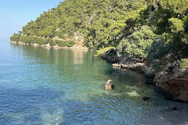 Akyaka İzci Kampı - Resim 3