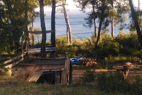 Akyaka İzci Kampı - Resim 4