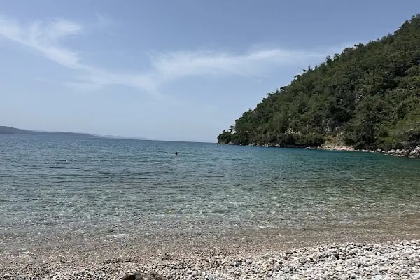 Akyaka İzci Kampı - Resim 5