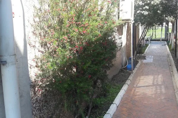 Özgüven Aliağa Demir Deposu - Resim 7