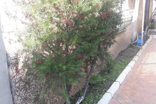 Özgüven Aliağa Demir Deposu - Resim 5