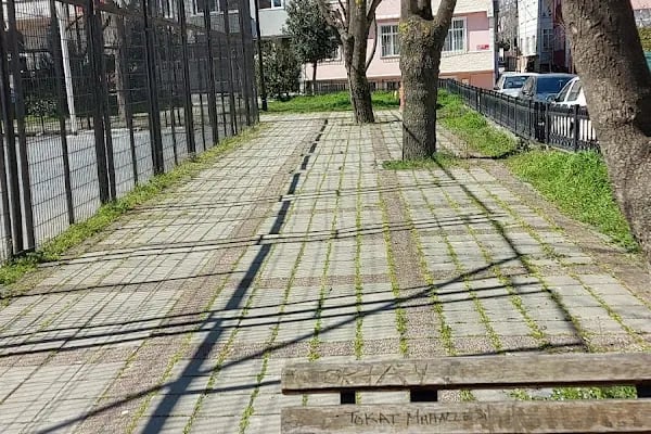 Deli Orman Parkı - Resim 7