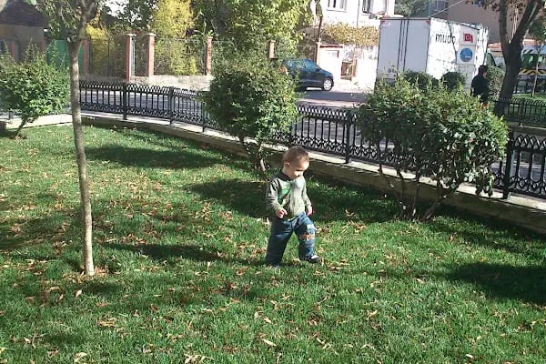 Deli Orman Parkı - Resim 8