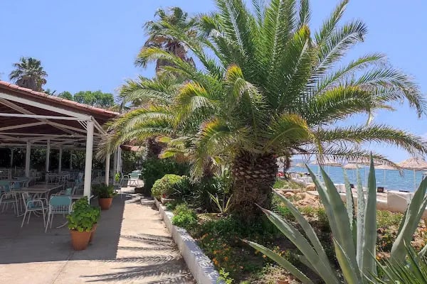 Altin Camp - Resim 15