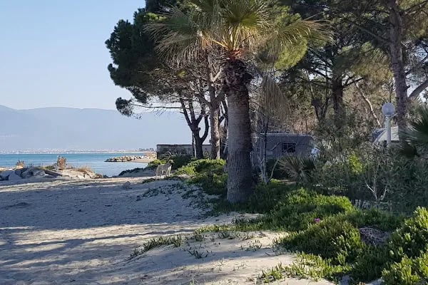 Altin Camp - Resim 10