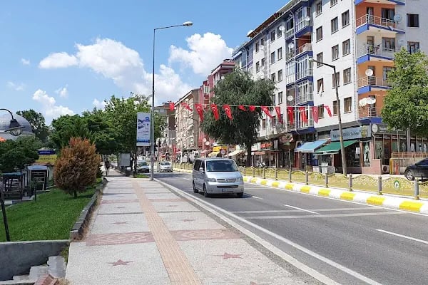 Ayşe Kadın Taksi - Resim 1