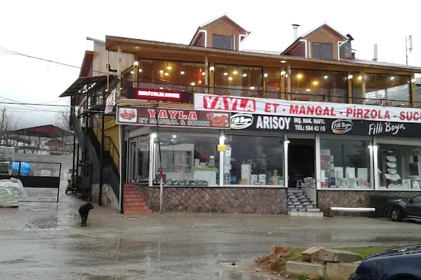 ARISOY TİCARET NAKLİYAT HAFRİYAT İNŞAAT MALZEMESİ SAMET ARISOY - Resim 17