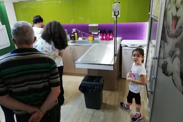Alpha Veteriner Kliniği - Resim 5