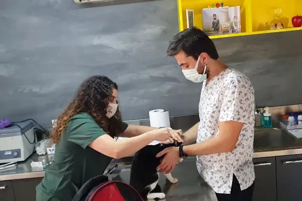 Alpha Veteriner Kliniği - Resim 13