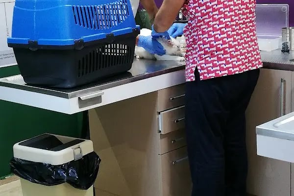 Alpha Veteriner Kliniği - Resim 12