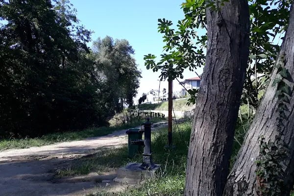 Başiskele Belediyesi İbrahim Gencer Millet Bahçesi - Resim 15