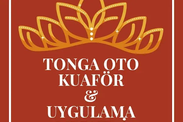 Tonga oto kuaför - Resim 20
