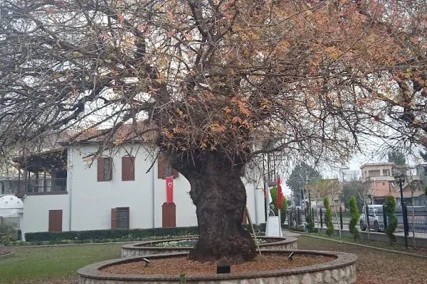 Akkapı mahallesi Muhtarlıgı - Resim 3