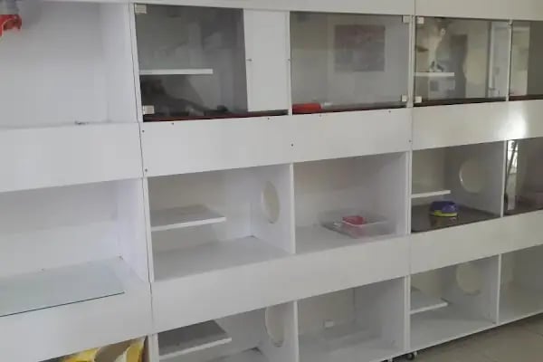 Balıkesir Veteriner Kliniği - AKADEMİ - Resim 16