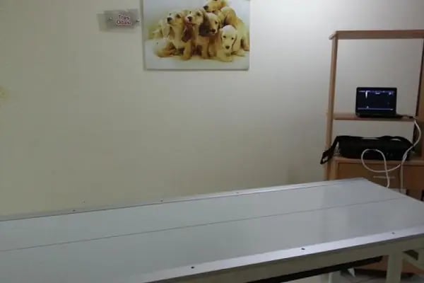 Balıkesir Veteriner Kliniği - AKADEMİ - Resim 18
