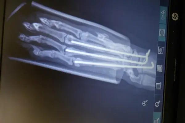 Balıkesir Veteriner Kliniği - AKADEMİ - Resim 9