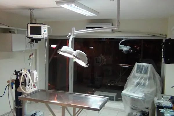 Balıkesir Veteriner Kliniği - AKADEMİ - Resim 4