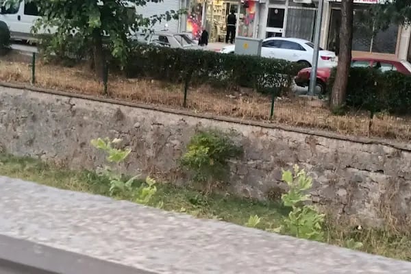 Balıkesir Veteriner Kliniği - AKADEMİ - Resim 6