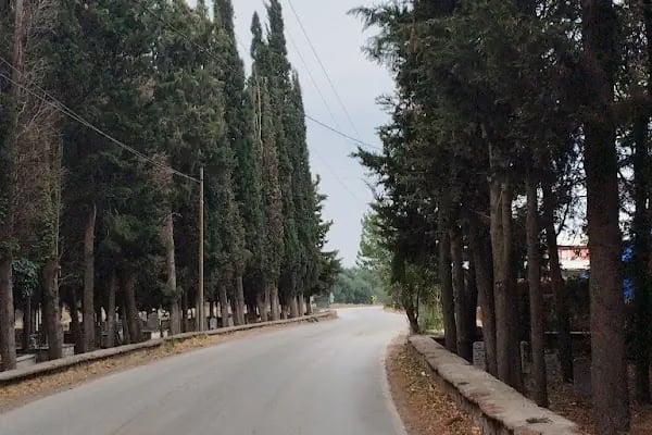 VOLKAN BESİ KURBANLIK ADAKLIK - Resim 18