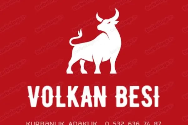 VOLKAN BESİ KURBANLIK ADAKLIK - Resim 20