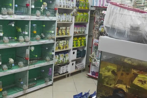 74 bilgin petshop - Resim 10