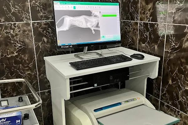ERA Veteriner Kliniği - Resim 6