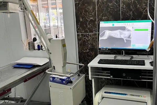 ERA Veteriner Kliniği - Resim 7
