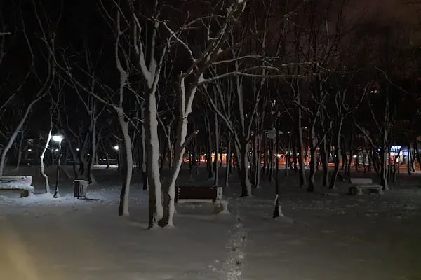 Çerkezköy Belediyesi Kartaltepe Mesire Alani - Resim 3