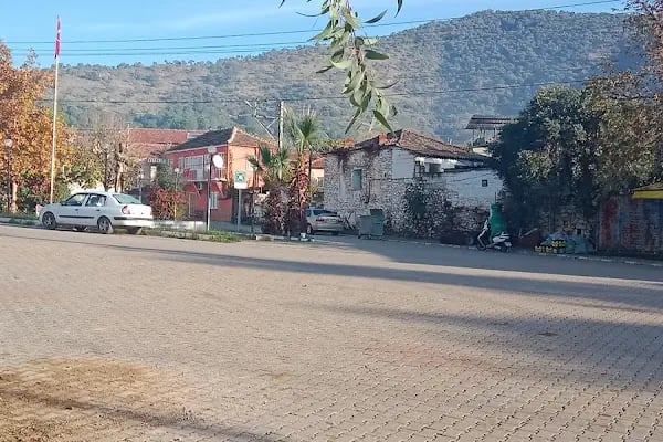Zeytinova İlköğretim Okulu - Resim 7