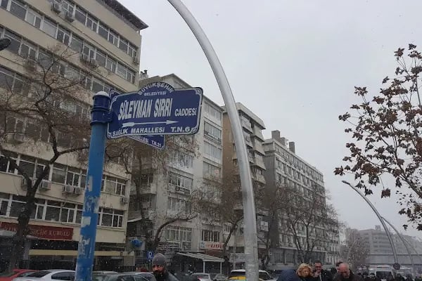 T.C. Sosyal Güvenlik Kurumu Emeklilik Hizmetleri ve Sigorta Primleri Genel Müdürlüğü - Resim 17