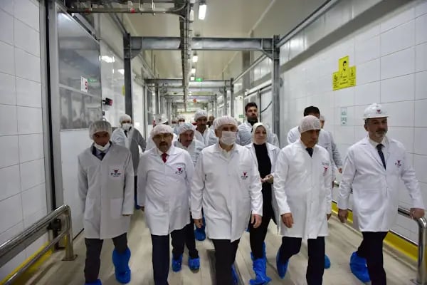 Et ve Süt Kurumu Trabzon Et Kombinası Müdürlüğü - Resim 15