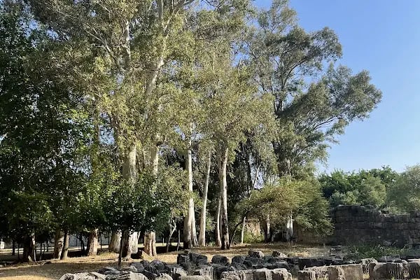 Limyra Antik Tiyatrosu - Resim 20