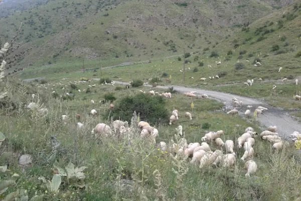 Şehir Stadı - Resim 20