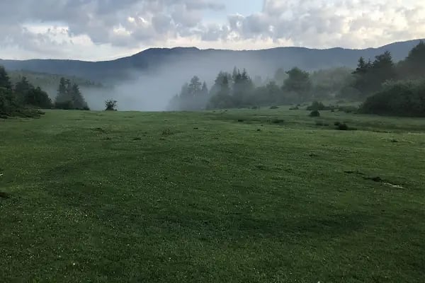 Aladağ Göleti - Resim 10