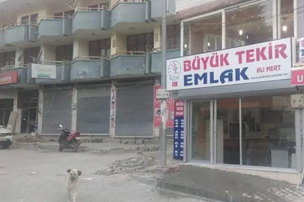 Büyük Tekir Emlak - Resim 3