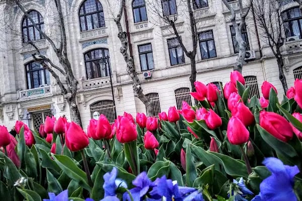 Tapu ve Kadastro İstanbul Bölge Müdürlüğü - Resim 8