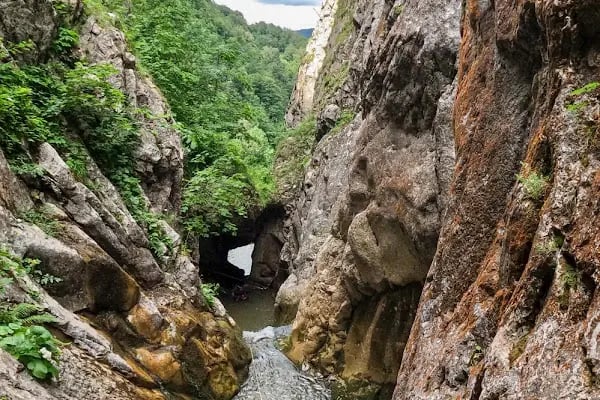 Kocaeli Gezgince Gölü - Resim 15