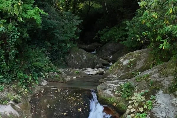 Kocaeli Gezgince Gölü - Resim 2