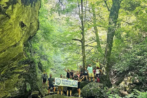 Kocaeli Gezgince Gölü - Resim 9