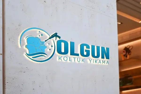 ankara olgun koltuk yıkama ankara - Resim 3