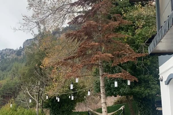 OtelOX Sinap Bungalov - Resim 12