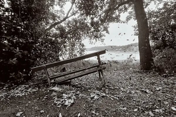 Balaban göl kenarı - Resim 15